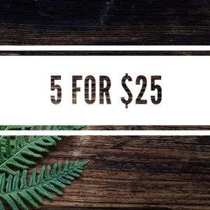 5 items for $25!